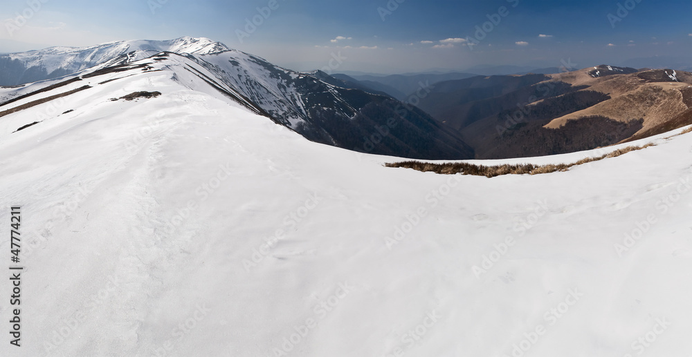 Polonyna Borzhava in spring. Carpathian Mountains. Ukraine