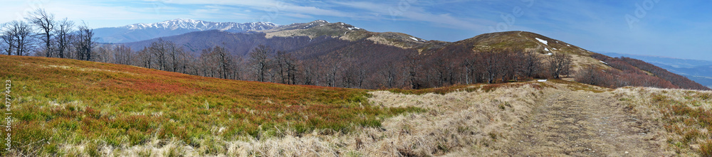 Polonyna Borzhava in Spring
