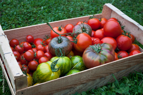 Tomates