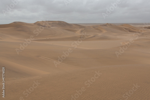D  sert de sable Namibien