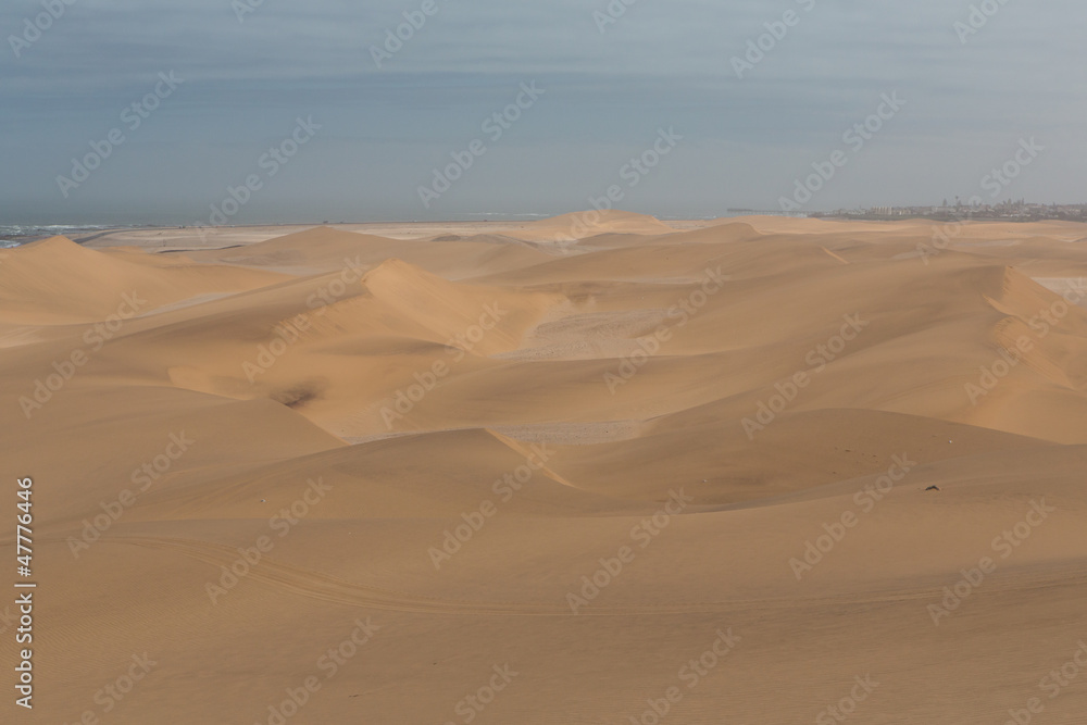 Désert de sable Namibien