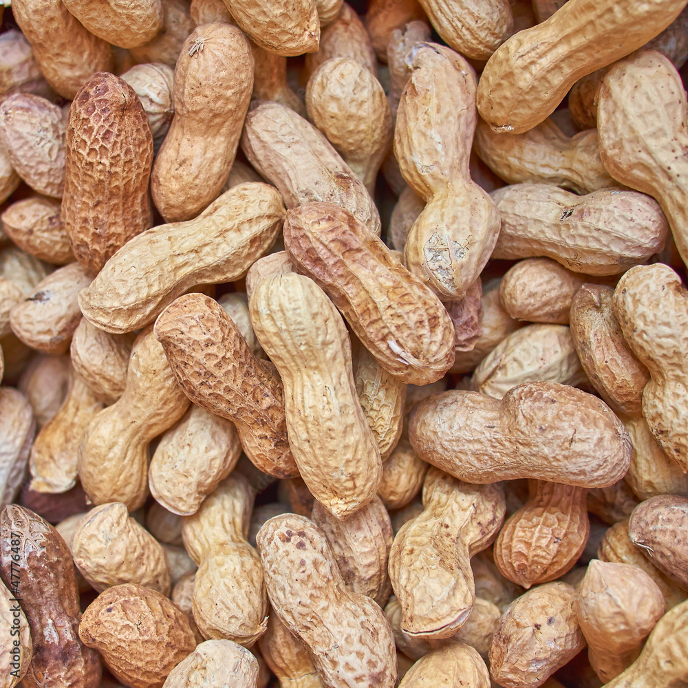 roasted peanuts in shell closeup, food background roasted peanuts in shell closeup, food background