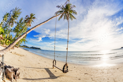 Swings and palm on the sand tropical beach.