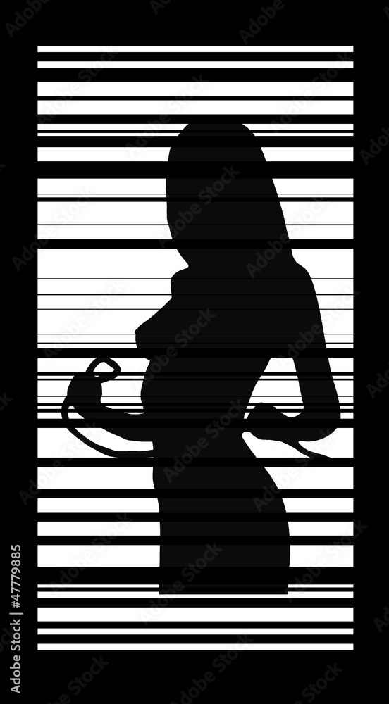 Femme nue sexy en ombre chinoise sur un store Illustration Stock | Adobe  Stock