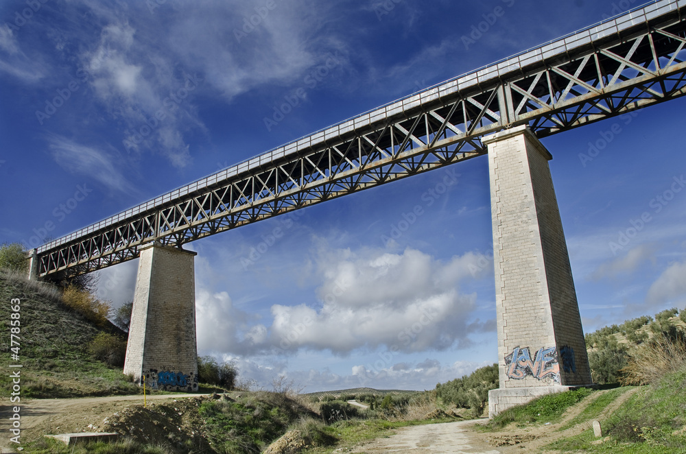 Naklejka premium Puente Ferroviario de Hierro de la escuela Eiffel
