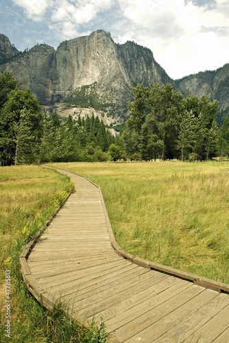 Wooden Pathway in Yosemite