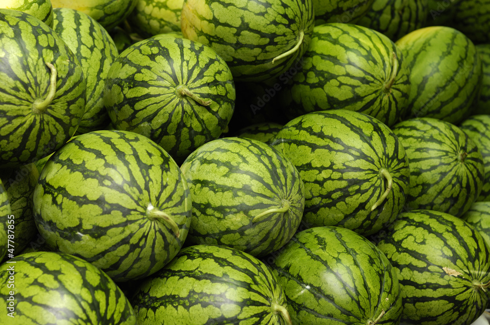 Tropical watermelon background Tropical watermelon background