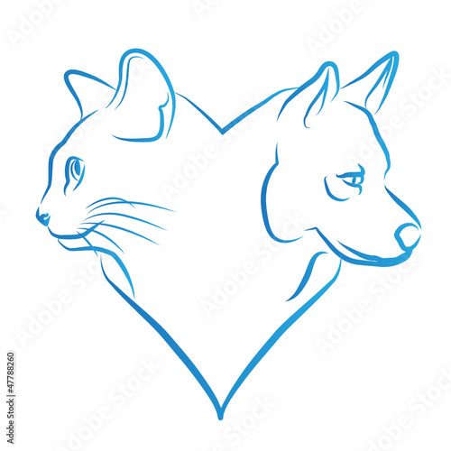 chat et chien en forme de coeur