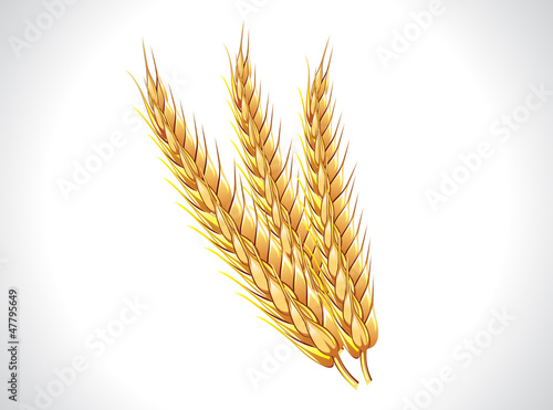 abstract wheat ears