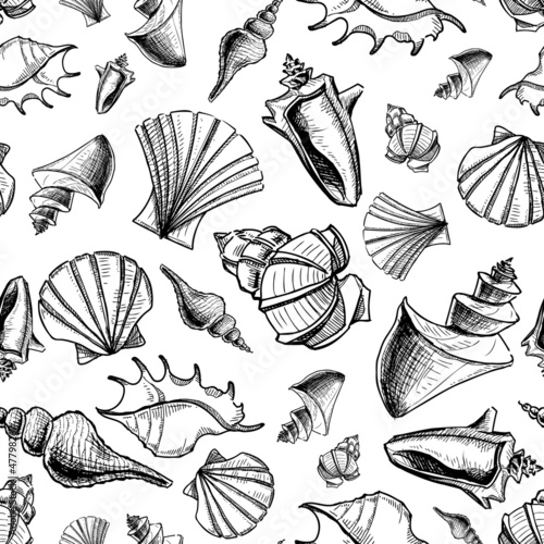 Sea shells sketch background