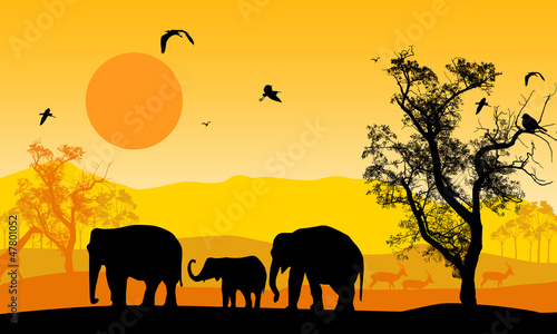 African wildlife at sunset