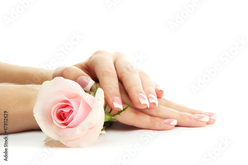 Beautiful woman hands with rose, isolated on white