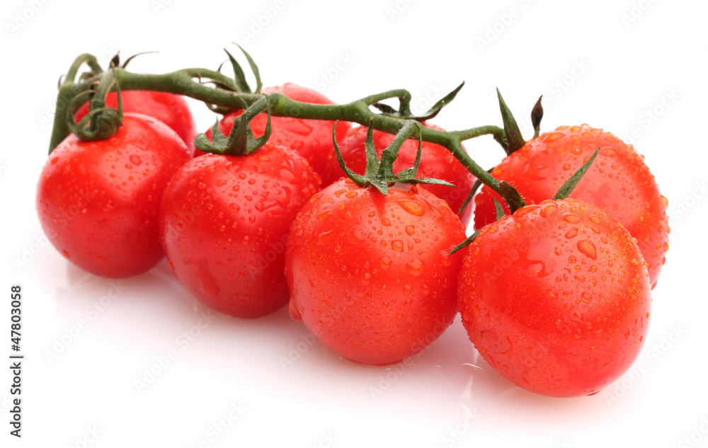 cherry tomatoes on a branch with drops isolated on white cherry tomatoes on a branch with drops isolated on white