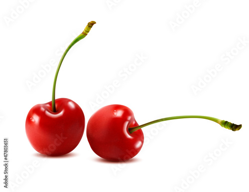 Sweet cherry isolated on white. Vector illustration