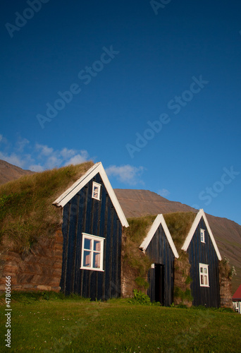 typical scandinavian houses #47805666