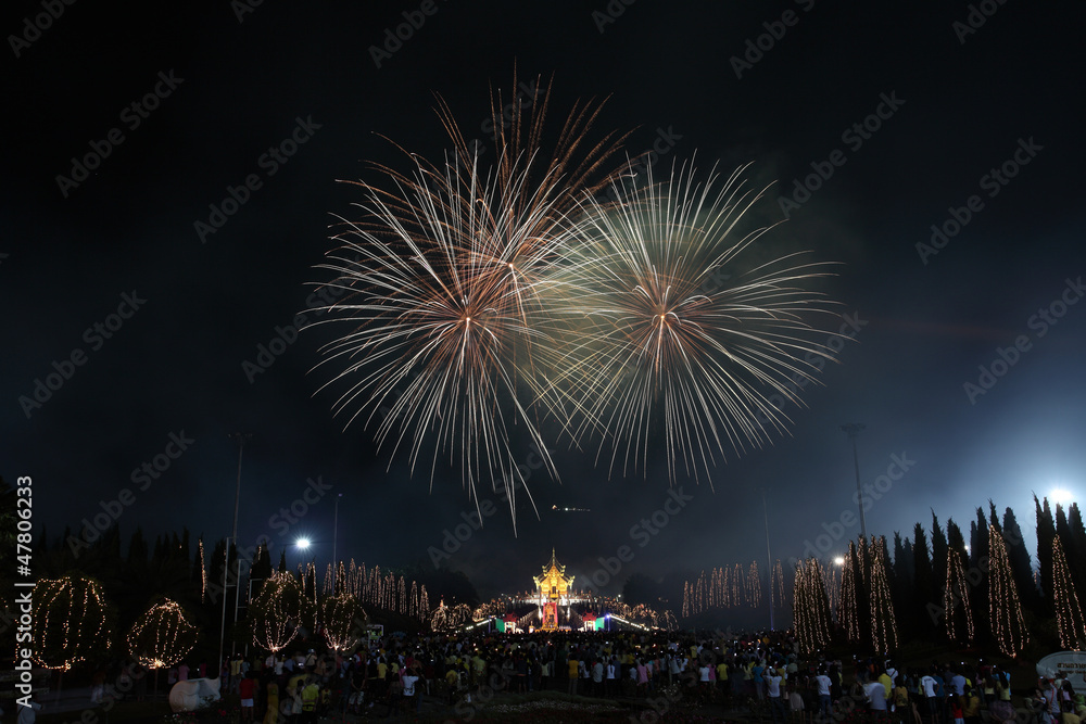 fireworks in new year holiday anniversary