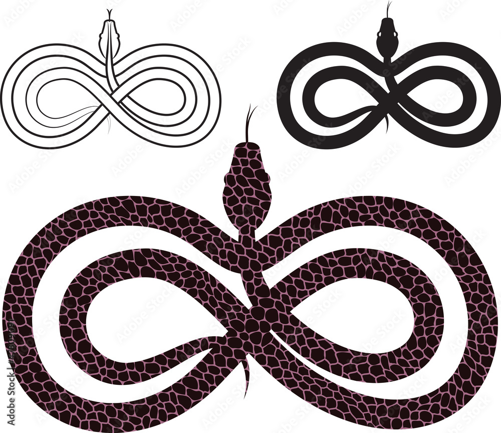 Fototapeta premium Options for vector images snake. infinity sign