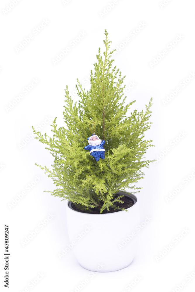 mini Christmas tree