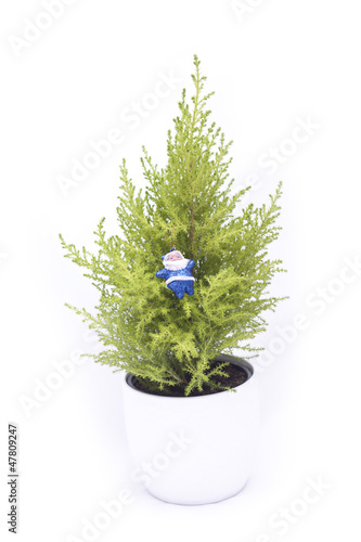 Obraz na płótnie mini Christmas tree w salonie