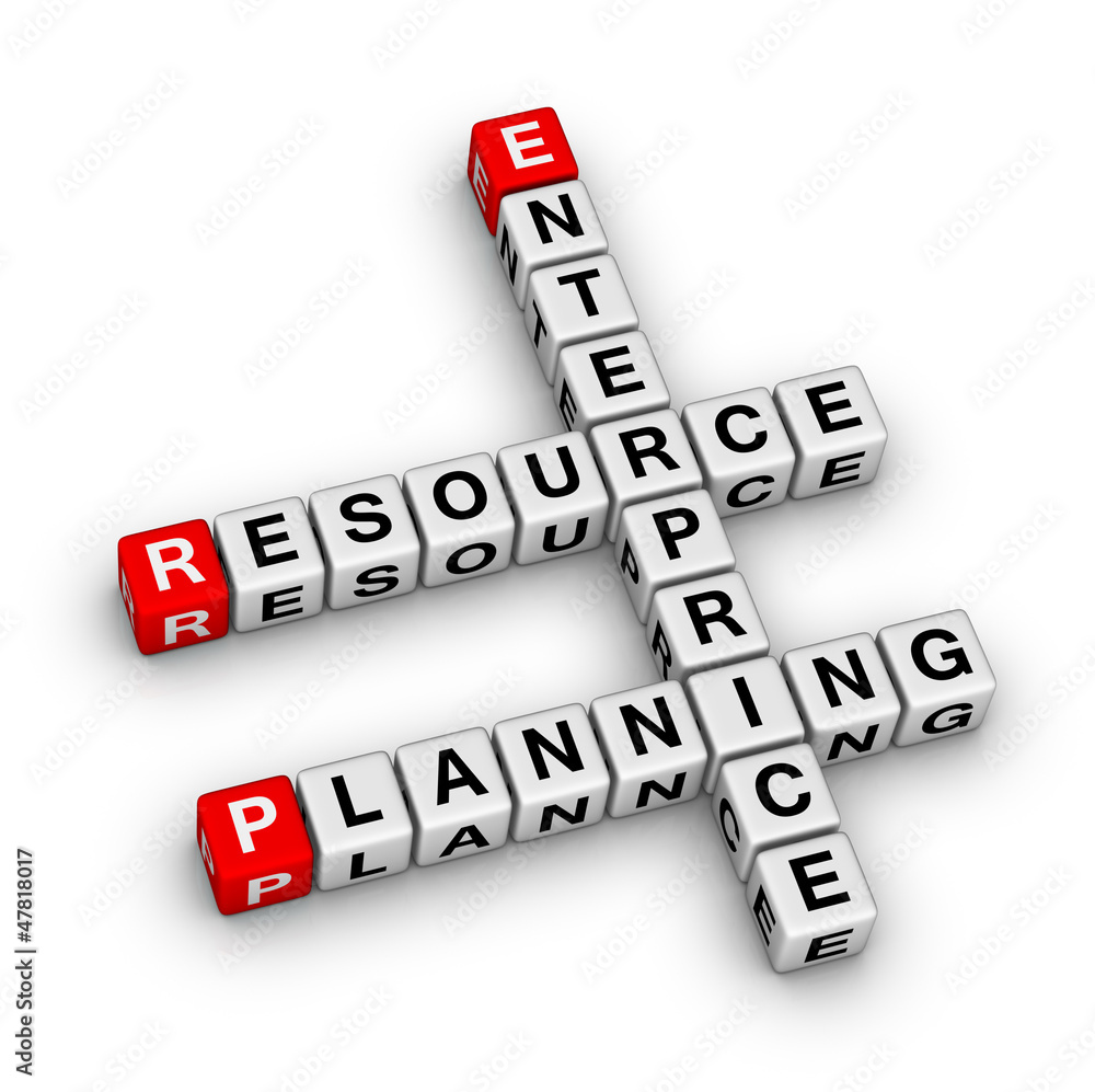 Enterprise Resource Planning (ERP) Enterprise Resource Planning (ERP)
