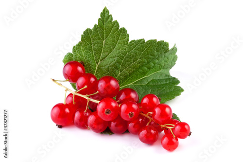 red currant with leaf isolated on white