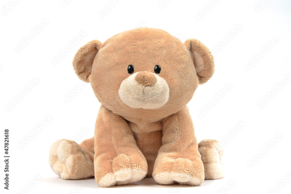 Fototapeta premium Teddy bear
