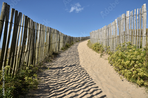 Path the dunes of Quiberon in France