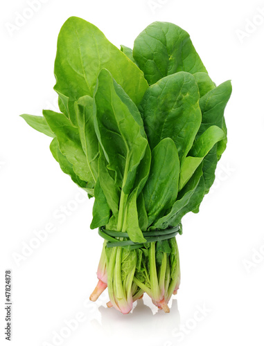 bunch of spinach isolated on white background