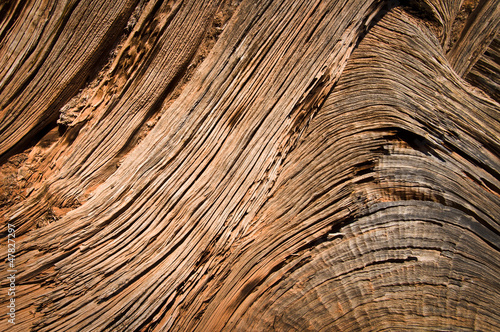 Texture de bois