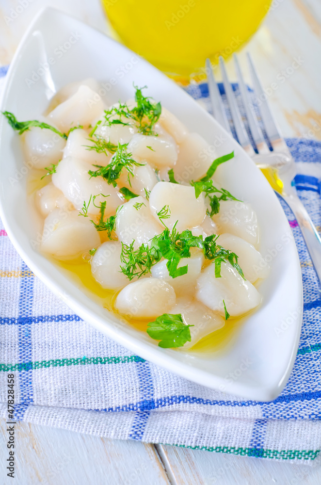 scallop scallop