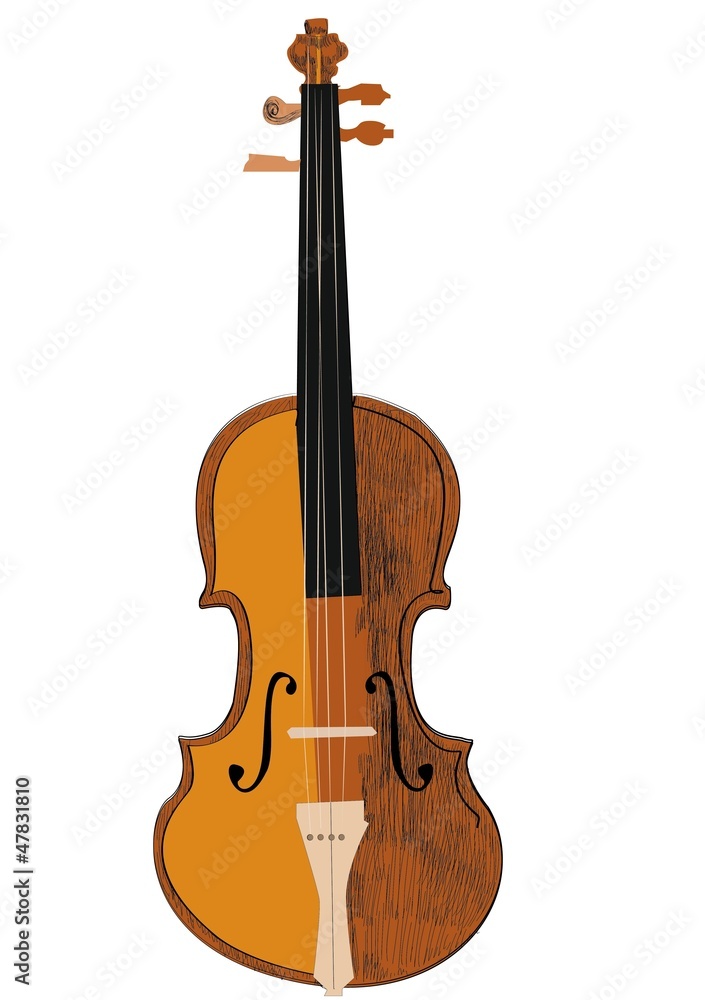 Fototapeta premium violin