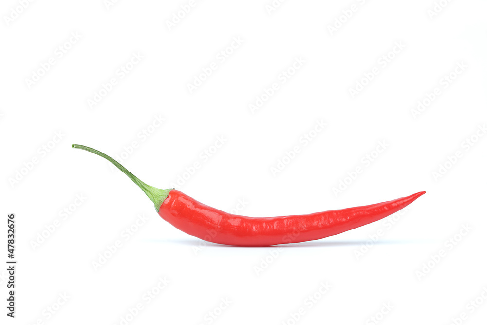 Red Chili Pepper Red Chili Pepper