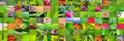 Canvas Print MULTICOLLAGE. NATURALEZA