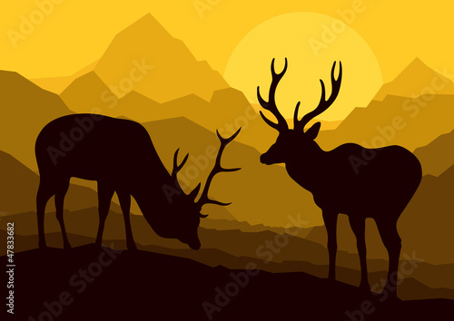 Deer in wild nature forest mountain landscape