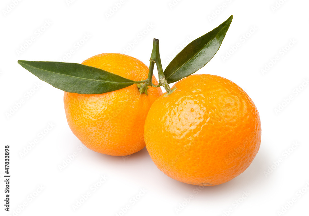 tangerine two tangerine two