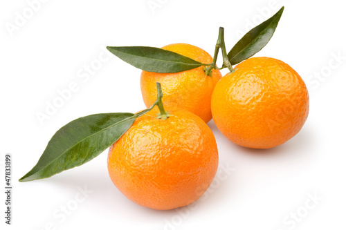tangerine three