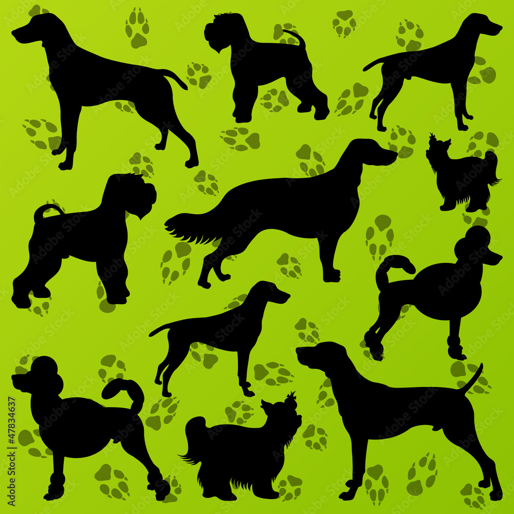Dogs and dog footprints detailed silhouettes illustration collec