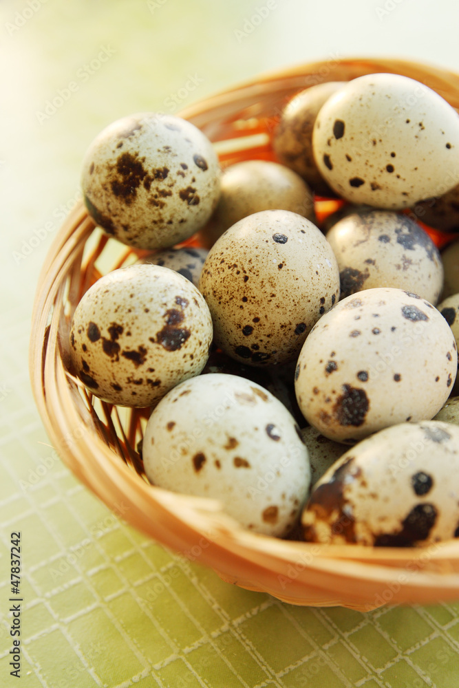 quail eggs quail eggs