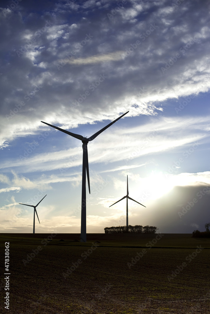 Obraz premium Eolienne, énergie, propre, écologie, environnement