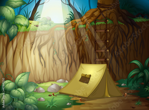 Camping in the jungle