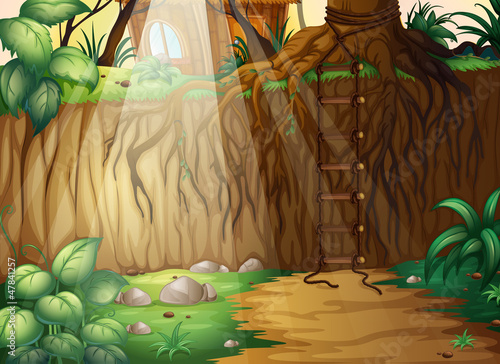 A corded ladder in the jungle