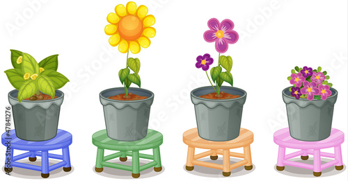 Various potted plants
