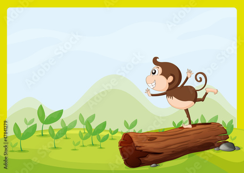 A monkey dancing on wood