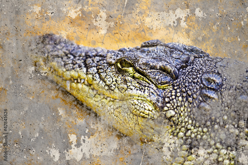 Obraz premium Artistic portrait of a Crocodile with textured background
