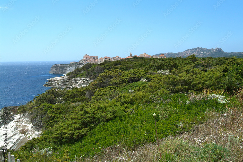 landes de bonifacio, Corse