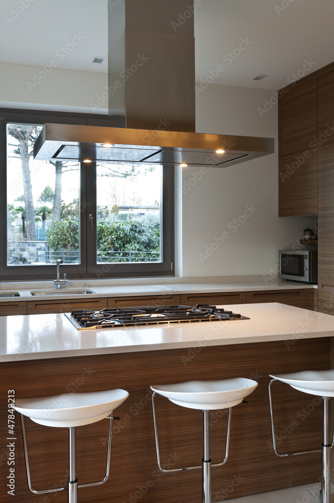 Fototapeta premium beautiful apartment, interior, kitchen