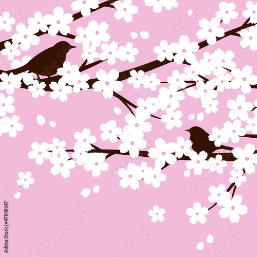 birds and cherry blossoms