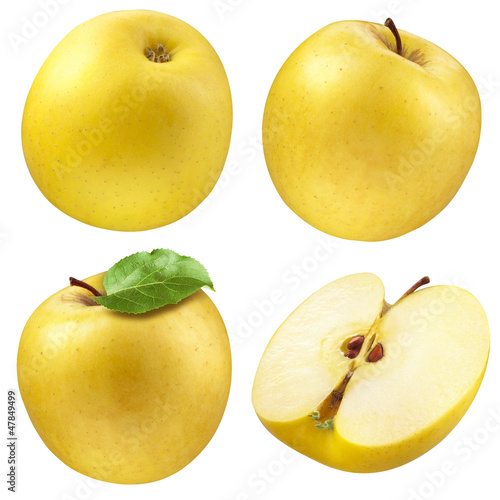 Yellow apple. collection. set of fruits and leaf isolated on whi