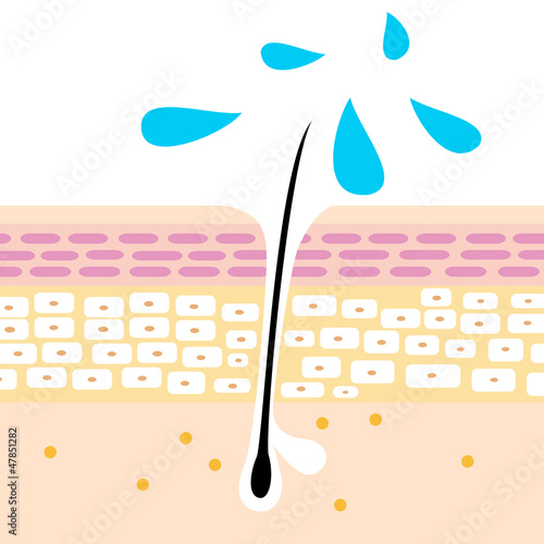 育毛剤のイラスト