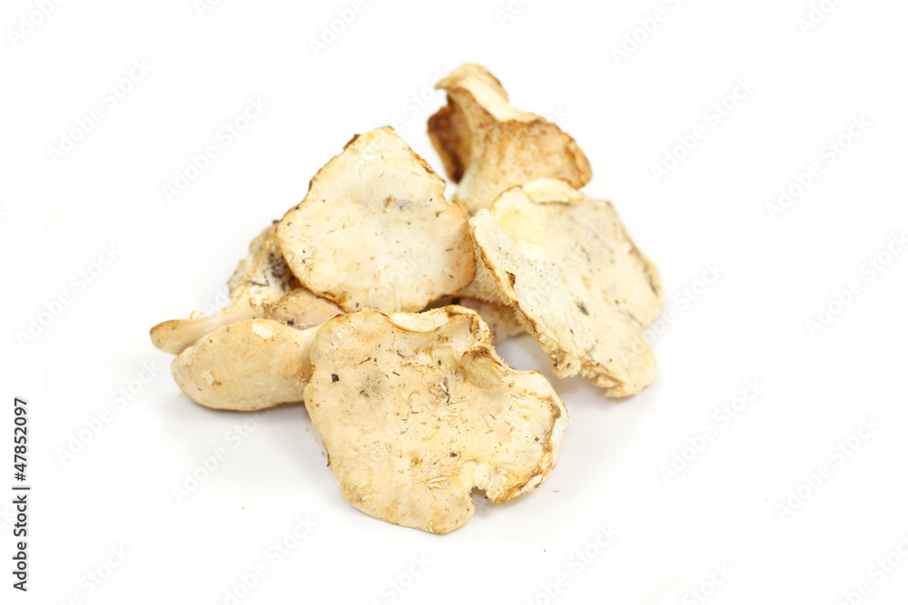 pied de mouton pied de mouton